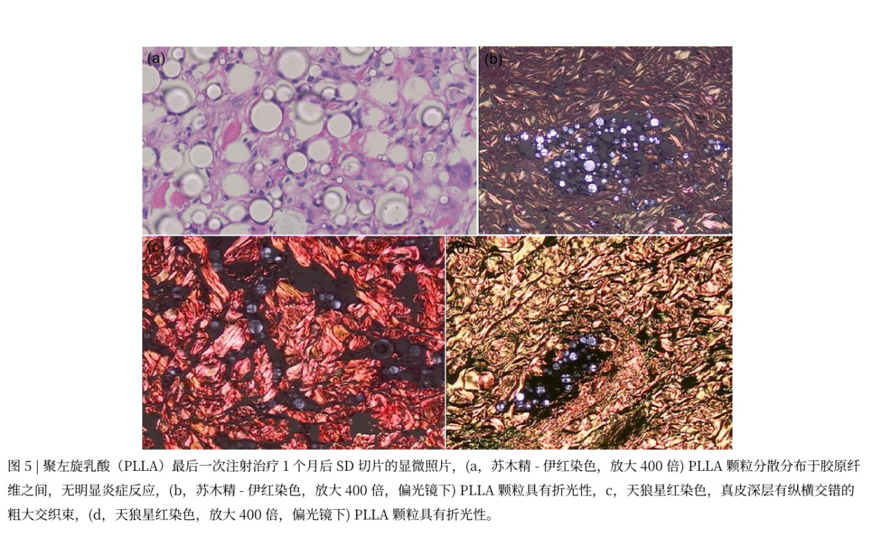 1780306295875311.png 图片 10.png